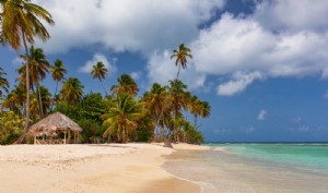 15 tempat indah untuk dikunjungi di Trinidad dan Tobago 