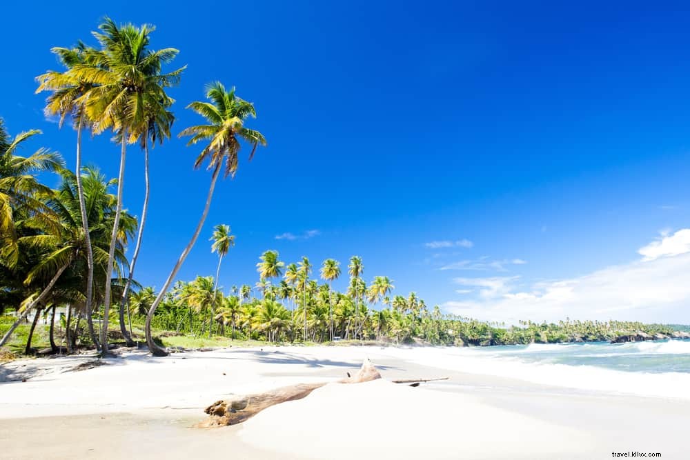 15 belos lugares para visitar em Trinidad e Tobago 