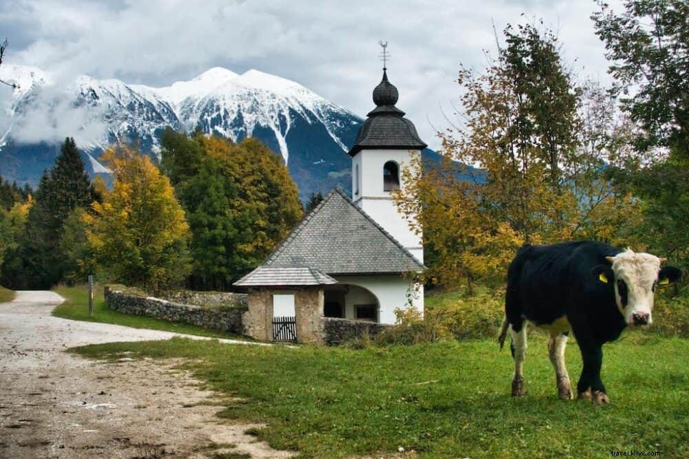 スロベニアで訪問する最も美しい場所の12 