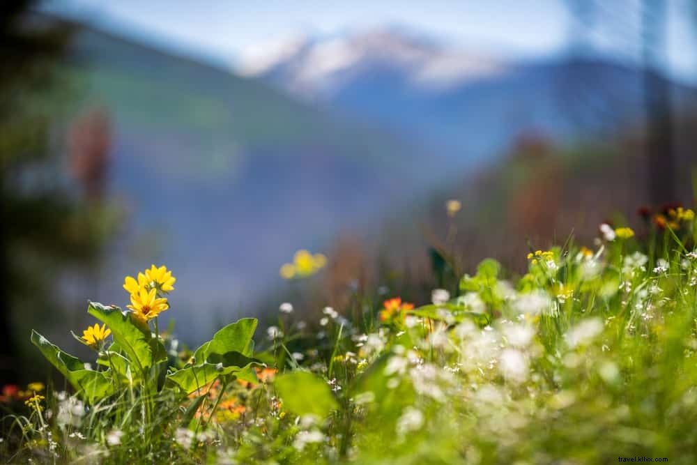 22 dos lugares mais bonitos para se visitar em Montana 