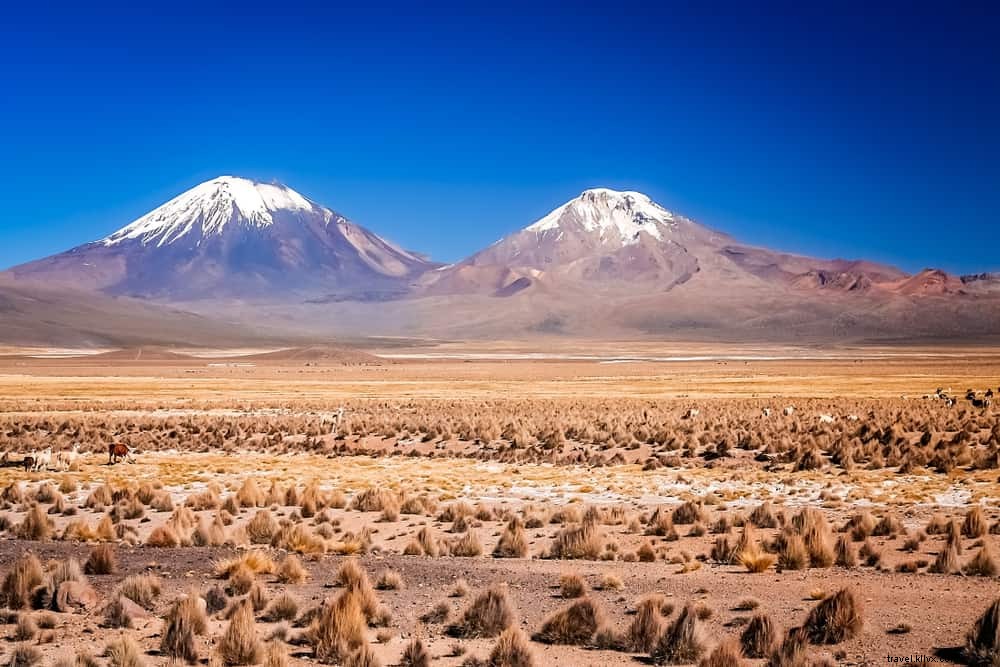 16 tempat terindah untuk dikunjungi di Bolivia 