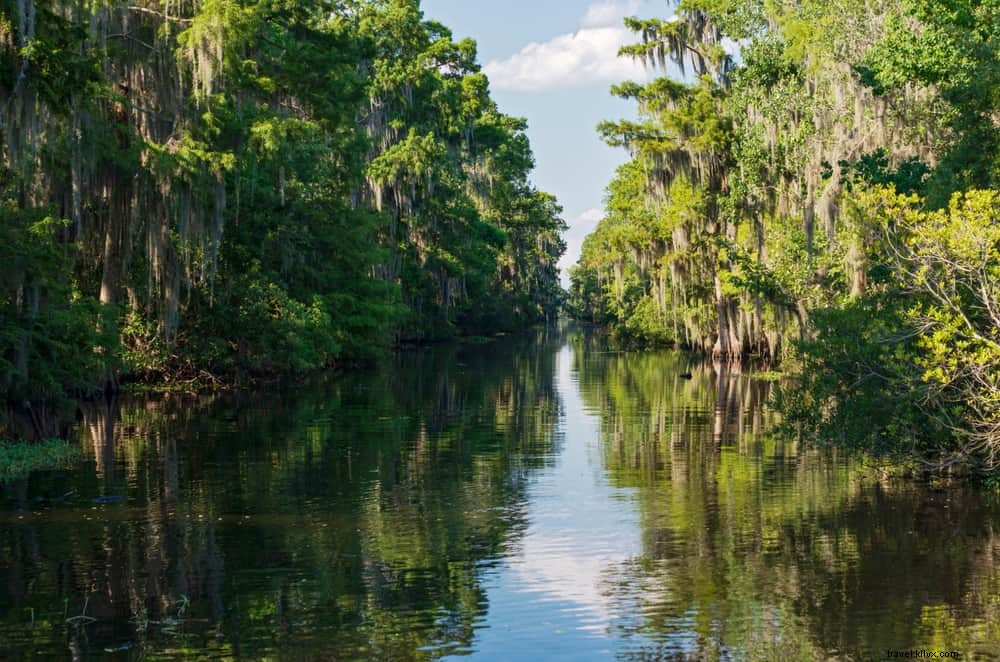 Top 15 de los lugares más bellos para visitar en Louisiana 