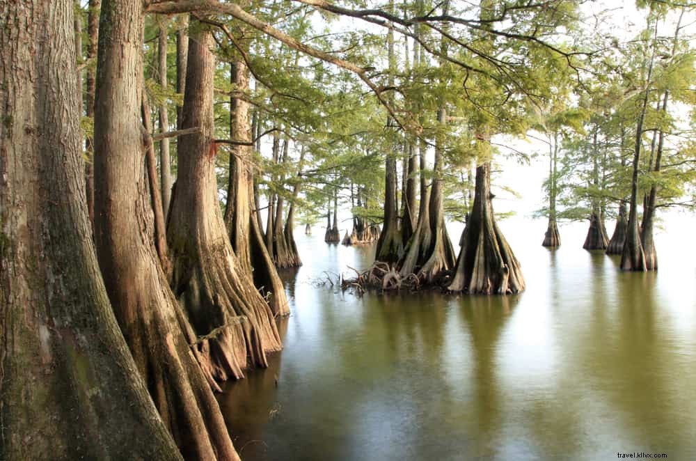 15 dos lugares mais bonitos para se visitar na Louisiana 