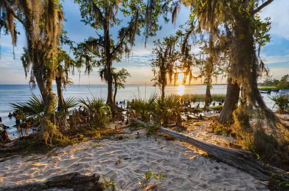 Top 15 des plus beaux endroits à visiter en Louisiane 