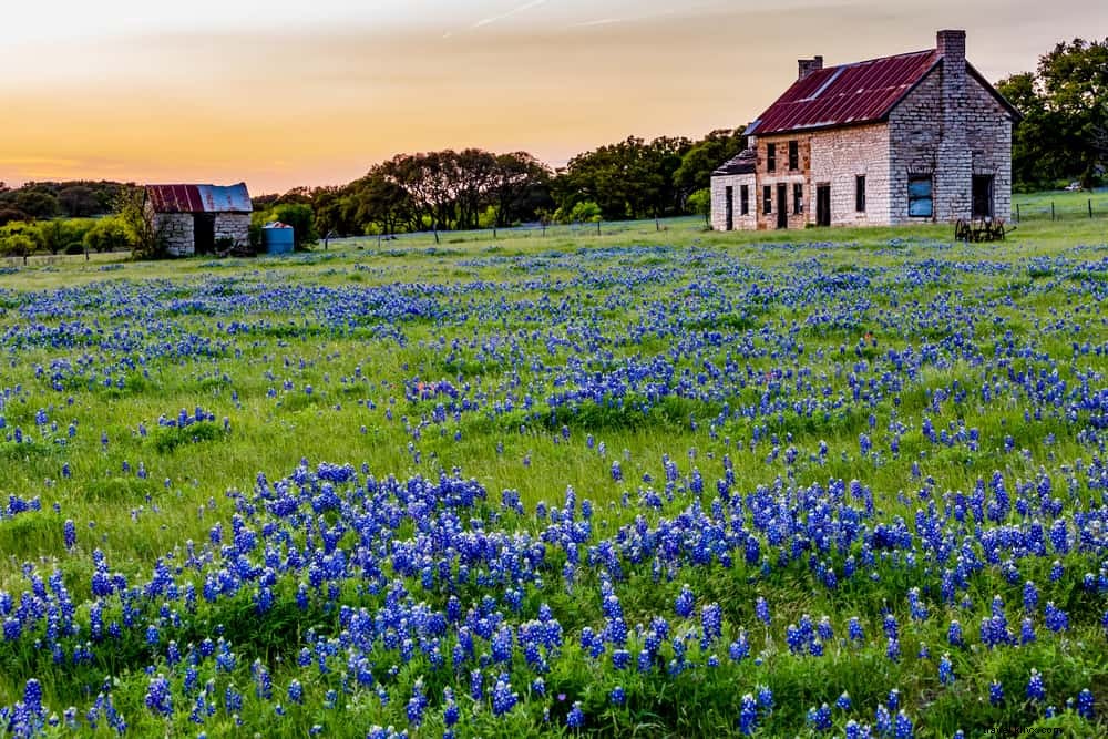 20 tempat terindah untuk dikunjungi di Texas 