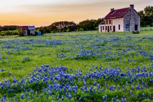 20 tempat terindah untuk dikunjungi di Texas 
