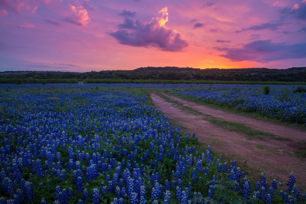 Top 20 des plus beaux endroits à visiter au Texas 