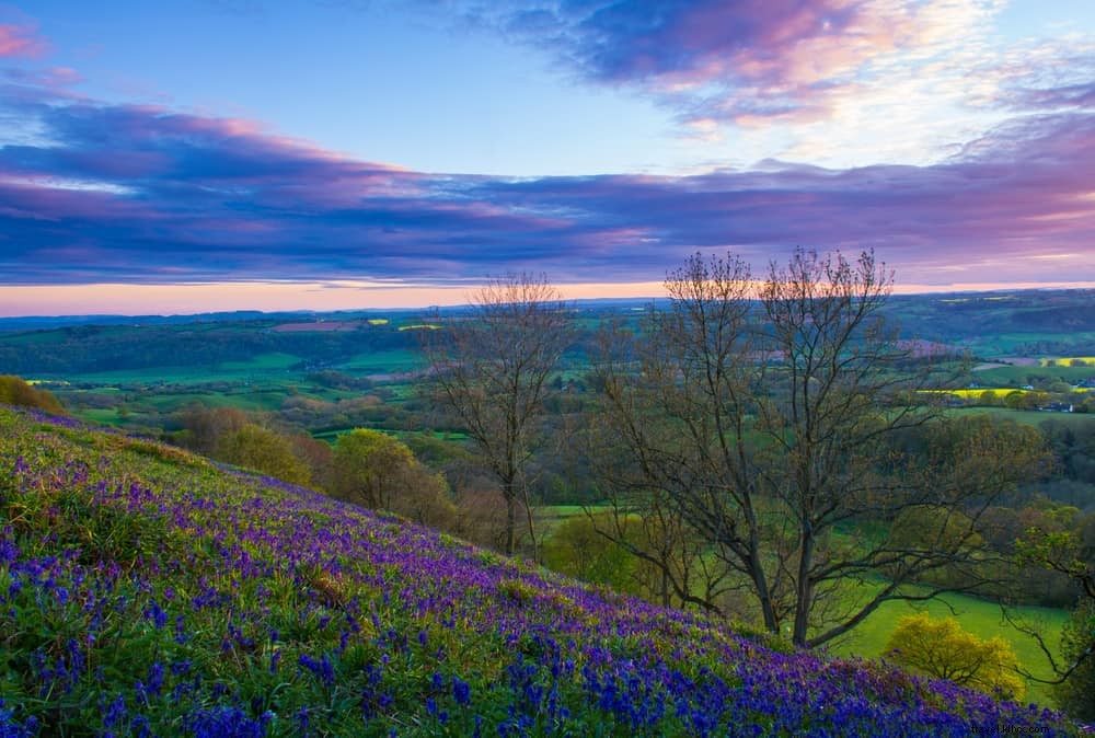 15 dei posti più belli da visitare nel Worcestershire 