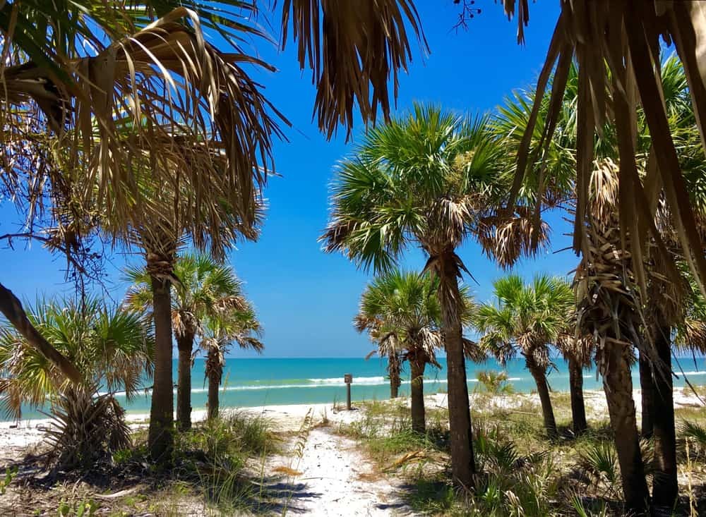 15 dei posti più belli da visitare in Florida 