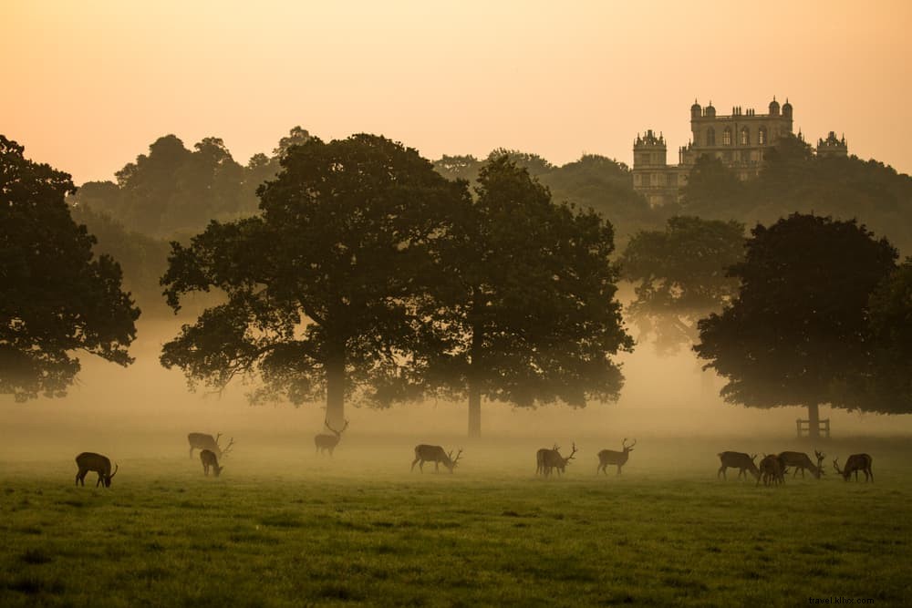 Top 15 dei posti più belli da visitare nel Nottinghamshire 