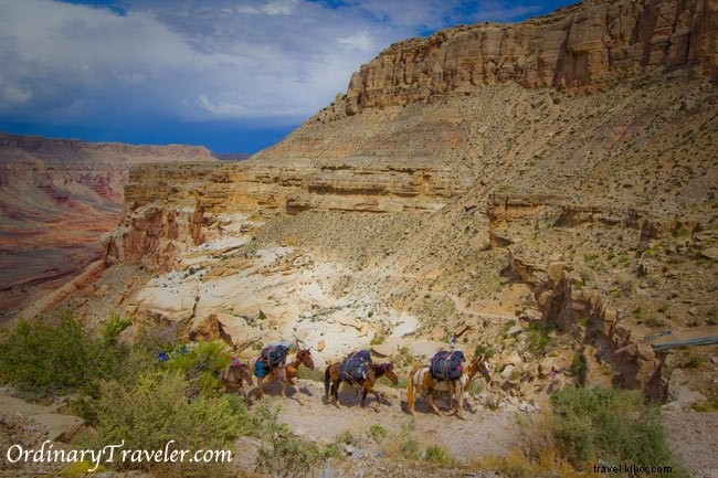 ハヴァス滝旅行のヒント2021–ハヴァスパイ予約、 アリゾナ 