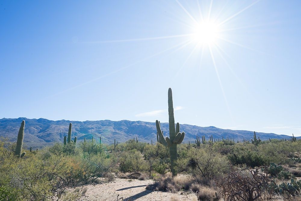 Panduan Perjalanan ke Tucson, Arizona di Akhir Pekan 