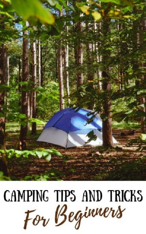 Trucs et astuces de camping pour les débutants :tout ce que vous devez savoir 