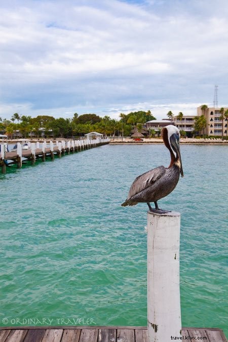 Panduan Perjalanan Florida Keys:Semua yang Perlu Anda Ketahui 