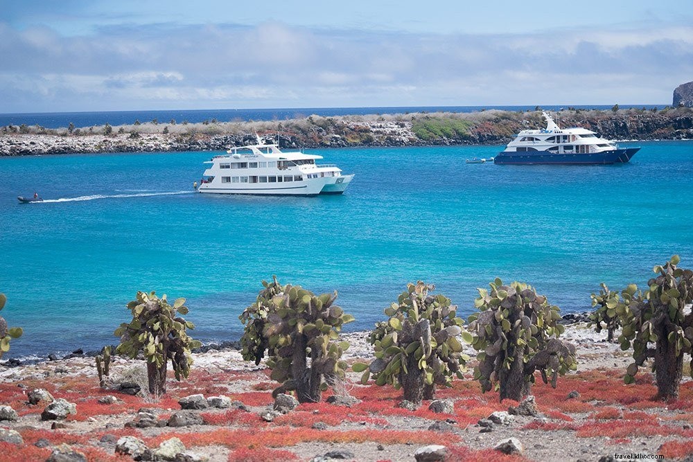 Croisière aux îles Galapagos avec Andando Tours 