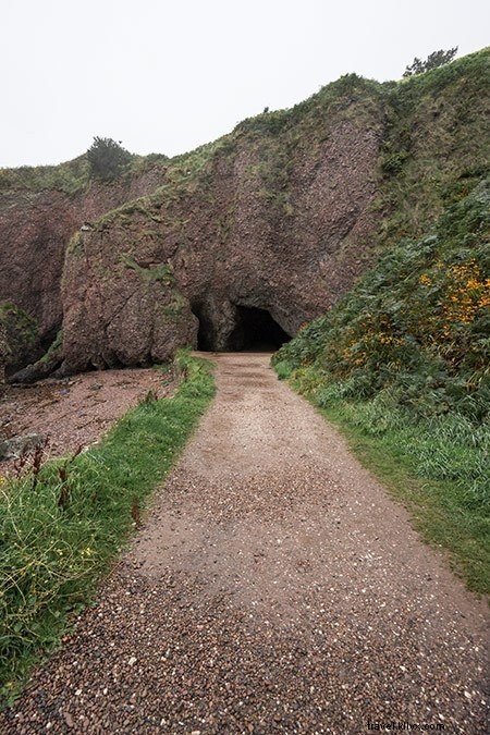 10 Lokasi Game of Thrones untuk Dikunjungi di Irlandia Utara 
