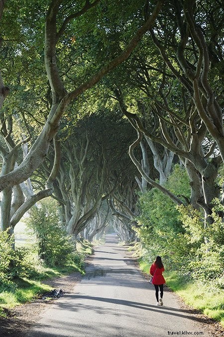 10 lieux de Game of Thrones à visiter en Irlande du Nord 