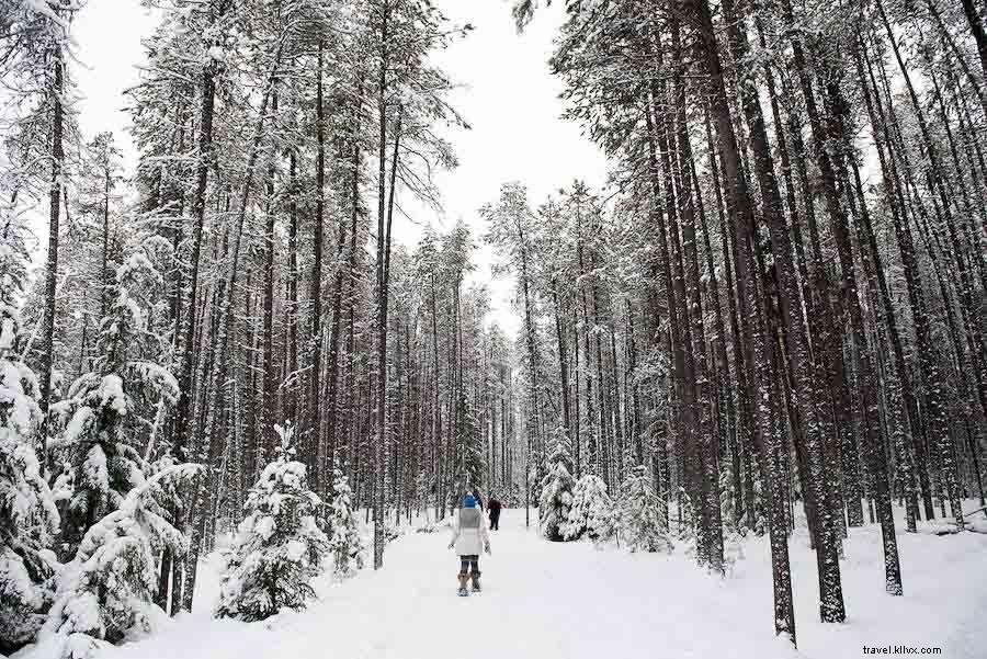 5 façons de se connecter avec la nature au Montana cet hiver 