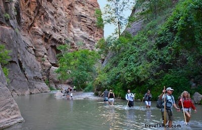 Guia de viagens e caminhadas para o Parque Nacional de Zion 
