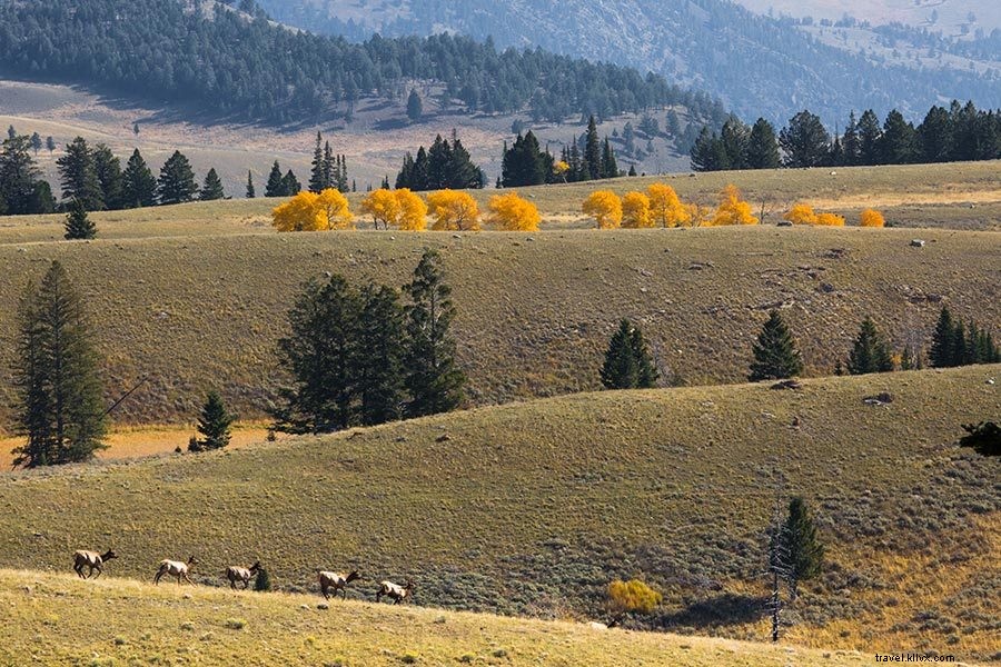 10 idee di viaggio autunnale per i parchi nazionali del Montana 