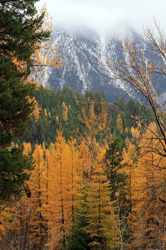 モンタナの国立公園のための10の秋の旅行のアイデア 
