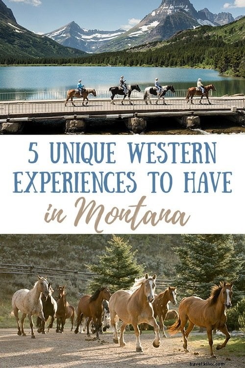 モンタナで試す5つのユニークな西洋体験 