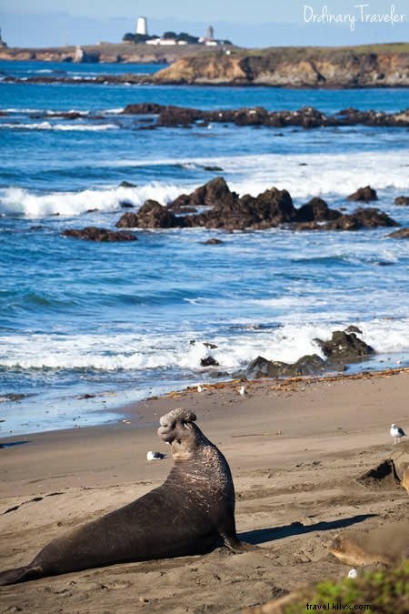 Diez mejores cosas para ver y hacer en la costa central de California 