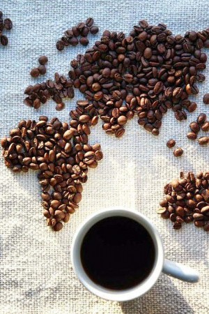 Comment illy Premium Coffee améliore les vacances United Airlines