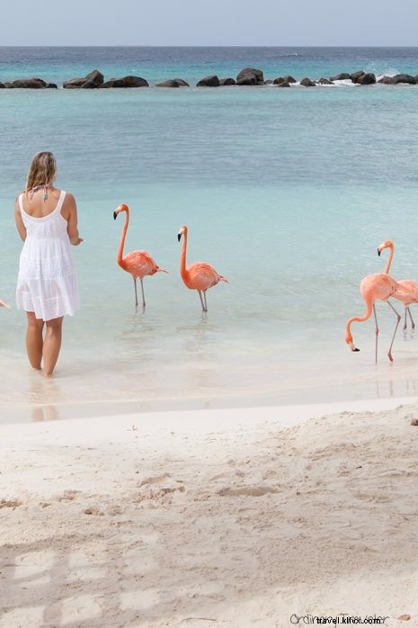 10 meilleures choses à faire à Aruba