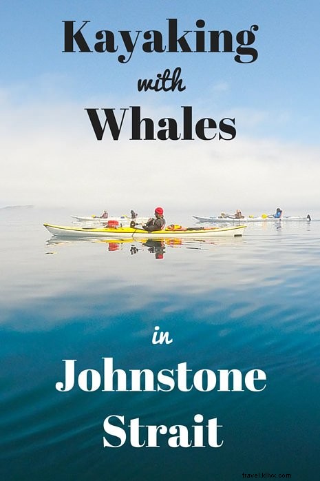 ジョンストーン海峡でのクジラとのカヤックの基本ガイド