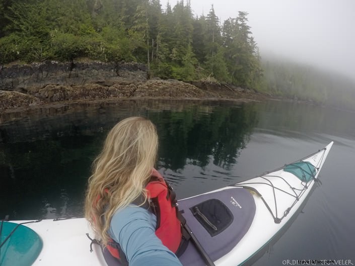 Guida essenziale al kayak con le balene nello stretto di Johnstone