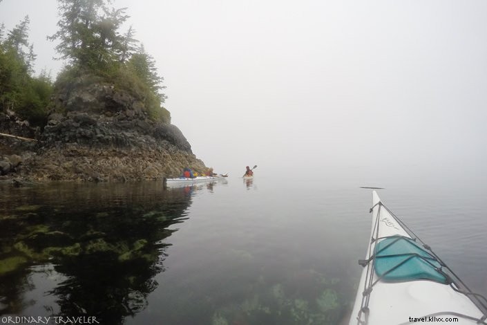 Guida essenziale al kayak con le balene nello stretto di Johnstone