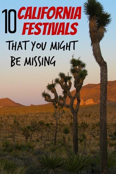 10 increíbles festivales bajo el radar en California
