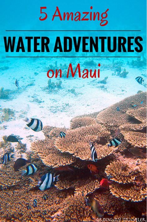 Cinque incredibili avventure acquatiche a Maui
