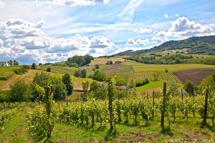 Castelos e vinhas em Emilia Romagna