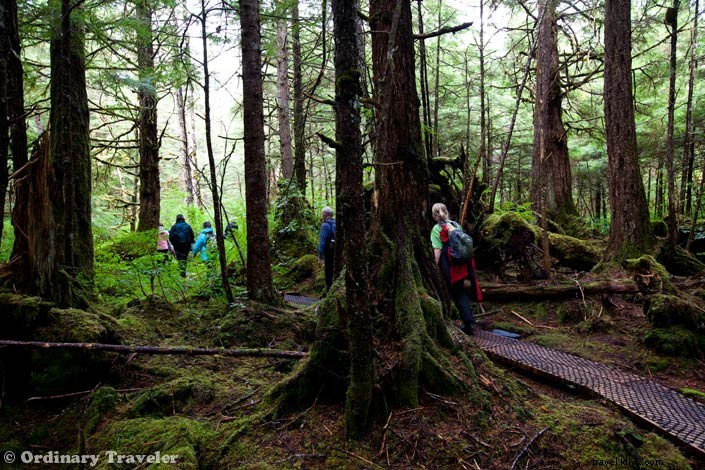 Dans la nature :la vie à bord d Aventures sans croisière en Alaska