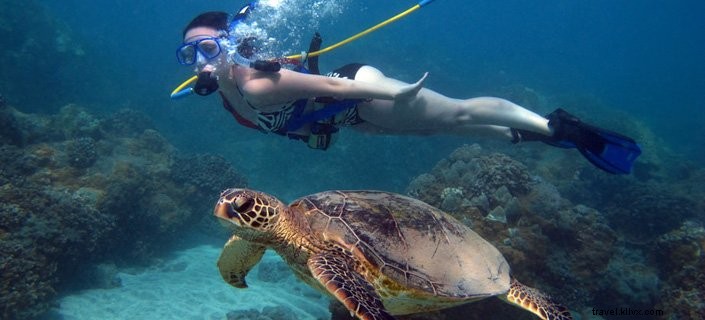 8 raisons de planifier une visite à Maui