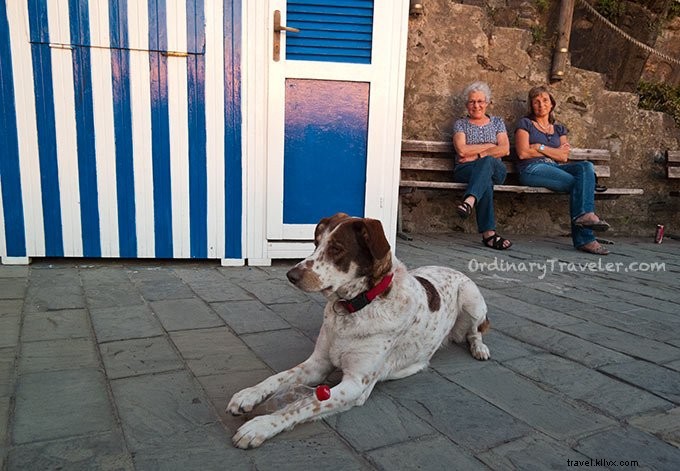 Cinque Terre es el sueño de un fotógrafo (¡mira nuestros consejos fotográficos!)