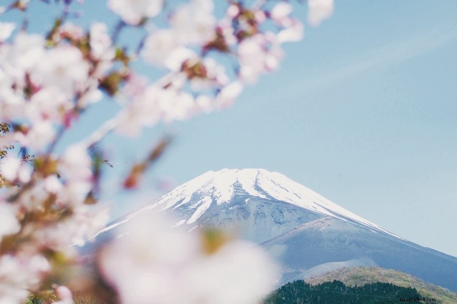Consigli di viaggio in Giappone:tutto ciò che devi sapere