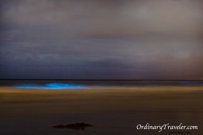 Red Tide Magic – Bioluminescence Ditangkap di Malam Hari di San Diego