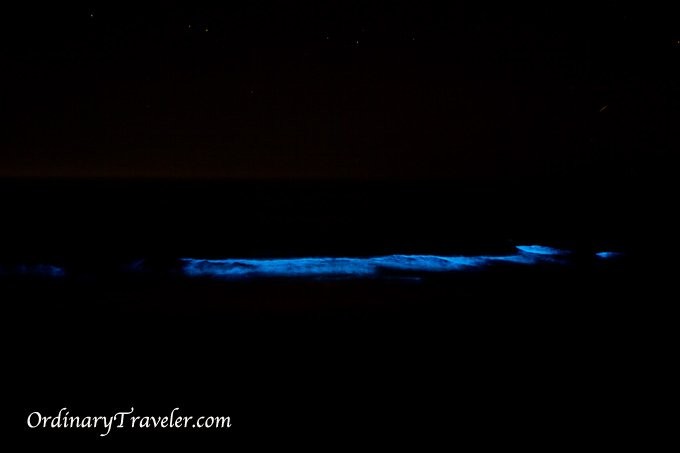 Red Tide Magic - Bioluminescência capturada à noite em San Diego