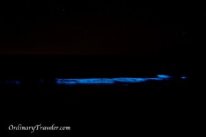 Red Tide Magic - Bioluminescência capturada à noite em San Diego