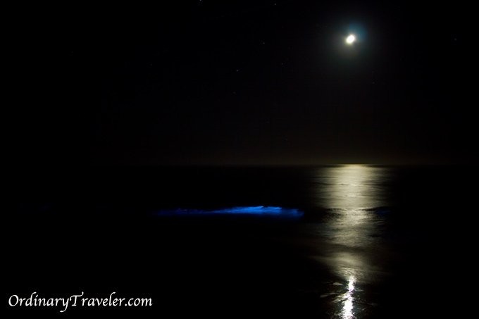 Red Tide Magic – Bioluminescenza catturata di notte a San Diego