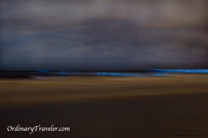 Magia de la marea roja:bioluminiscencia capturada de noche en San Diego