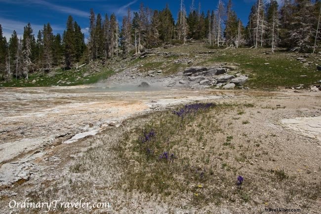 Geyser du parc national de Yellowstone Photos
