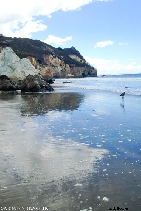 La costa dimenticata:fuori dai sentieri battuti in California