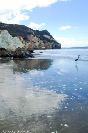 La côte oubliée :hors des sentiers battus en Californie
