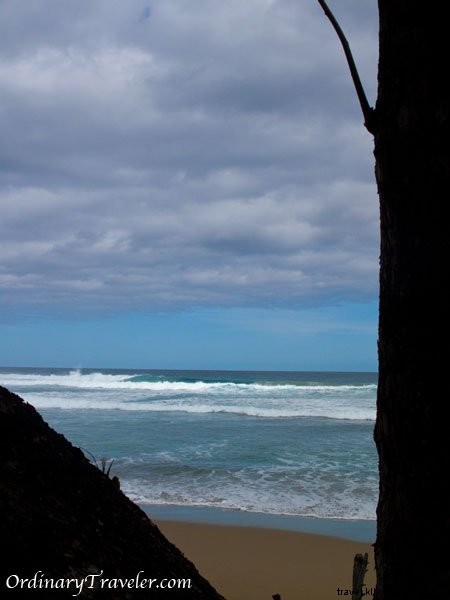 Avis sur le camp de surf d Ali - République dominicaine