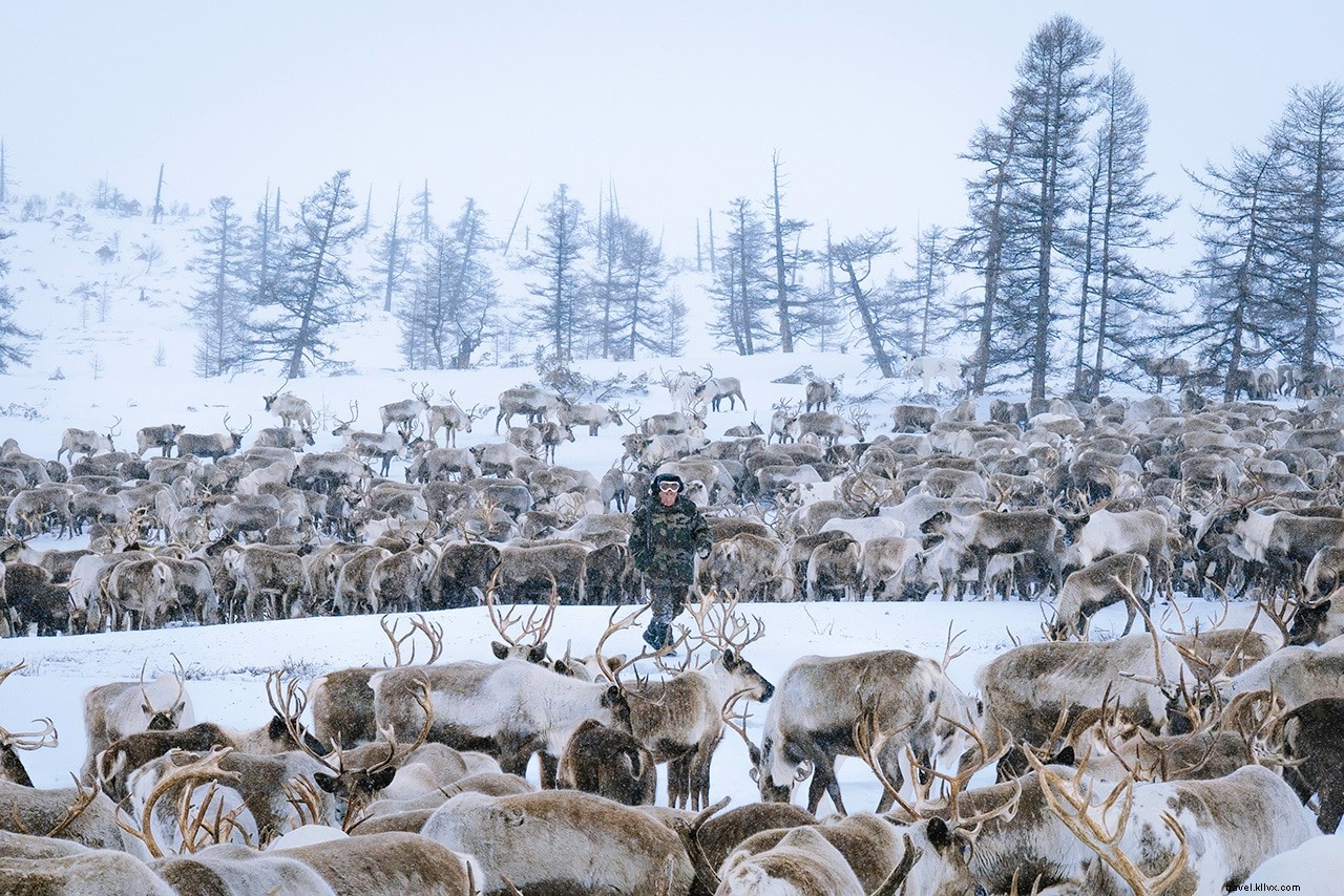 野生のカムチャツカ半島：ロシアの遊牧民のトナカイ牧畜民を訪ねる