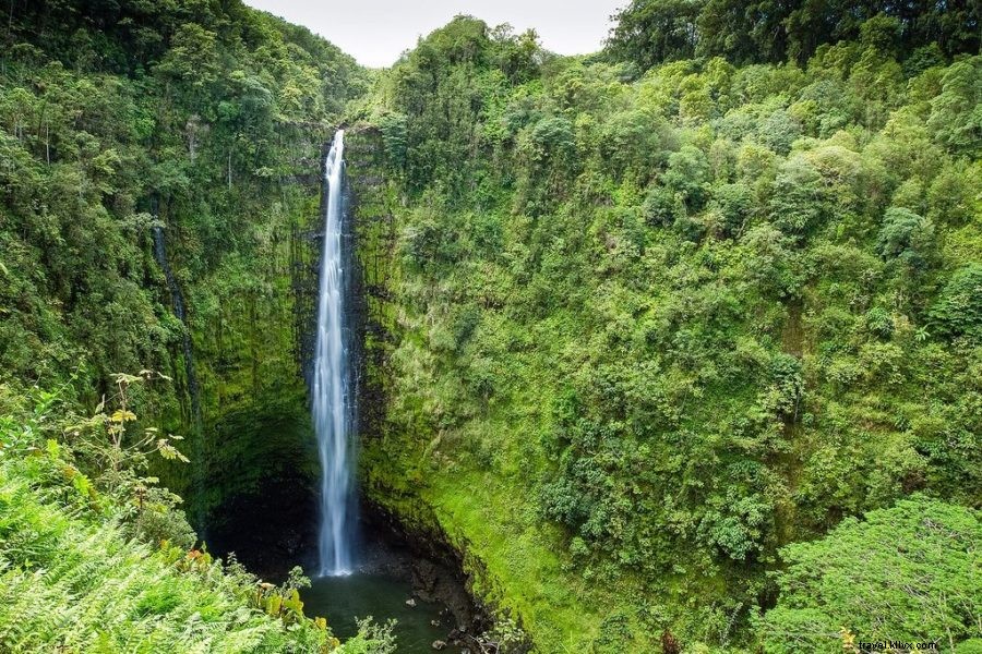 ハワイ島でやるべき10の楽しいこと（旅行の旅程）